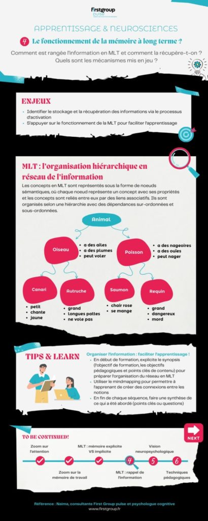 Infographie - Fonctionnement Mémoire à long terme
